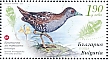 Bulgaria 2023 Endangered birds of Bulgaria Sheet, non-gummed paper with UV fibers