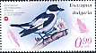 Collared Flycatcher Ficedula albicollis