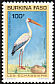 Yellow-billed Stork Mycteria ibis  1993 Birds 