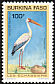 Yellow-billed Stork Mycteria ibis