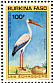 Yellow-billed Stork Mycteria ibis