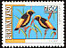 Yellow-crowned Bishop Euplectes afer  1995 Birds 