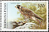 Peregrine Falcon Falco peregrinus  1996 Endangered birds 