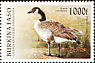 Canada Goose Branta canadensis  1996 Endangered birds 