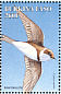 Sand Martin Riparia riparia  1998 Birds Sheet