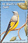 Long-tailed Minivet Pericrocotus ethologus  1998 Birds Sheet