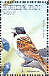 Common Reed Bunting Emberiza schoeniclus  1998 Birds Sheet