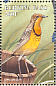 Cape Longclaw Macronyx capensis  1998 Birds Sheet