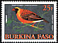 Red-billed Quelea Quelea quelea  2001 Birds 