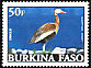 Black-bellied Whistling Duck Dendrocygna autumnalis  2001 Birds 