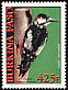 Great Spotted Woodpecker Dendrocopos major  2001 Birds 