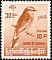 Indochinese Roller Coracias affinis  1964 Burmese birds 