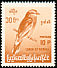 Indochinese Roller Coracias affinis  1968 Burmese birds Changed format