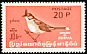 Red-whiskered Bulbul Pycnonotus jocosus