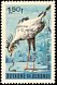 Secretarybird Sagittarius serpentarius  1965 Birds 