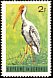 Yellow-billed Stork Mycteria ibis