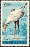 Secretarybird Sagittarius serpentarius