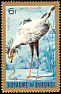 Secretarybird Sagittarius serpentarius  1965 Birds Gold border