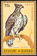 Martial Eagle Polemaetus bellicosus