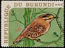 Eurasian Wren Troglodytes troglodytes  1970 Birds 