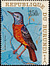 Common Rock Thrush Monticola saxatilis  1970 Birds 