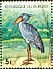 Shoebill Balaeniceps rex  1977 African animals 