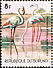 Greater Flamingo Phoenicopterus roseus