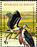 Marabou Stork Leptoptilos crumenifer