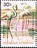 Greater Flamingo Phoenicopterus roseus