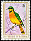 Little Bee-eater Merops pusillus