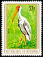 Yellow-billed Stork Mycteria ibis