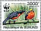 Papyrus Gonolek Laniarius mufumbiri  2011 WWF Sheet