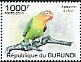 Fischer's Lovebird Agapornis fischeri