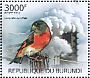 Red Siskin Spinus cucullatus  2012 Air pollution and birds Sheet