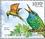African Green Bee-eater Merops viridissimus
