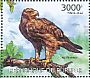 Tawny Eagle Aquila rapax