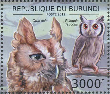 Northern White-faced Owl stamps - mainly images - gallery format