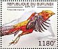 Golden Pheasant Chrysolophus pictus  2012 Pheasants Sheet