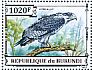 Augur Buzzard Buteo augur  2013 Birds of prey Sheet