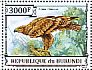 Steppe Eagle Aquila nipalensis  2013 Birds of prey Sheet