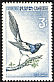 Oriental Magpie Pica serica