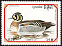 Baikal Teal Sibirionetta formosa  1993 Bangkok 1993 