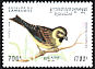 Cirl Bunting Emberiza cirlus  1994 Birds 