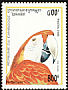 Scarlet Macaw Ara macao  1995 Parrots 