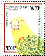 Yellow-headed Amazon Amazona oratrix