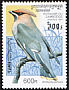 Bohemian Waxwing Bombycilla garrulus  1997 Birds 