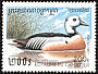 Steller's Eider Polysticta stelleri  1997 Ducks 