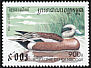 American Wigeon Mareca americana