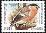 Eurasian Bullfinch Pyrrhula pyrrhula  1999 Birds 