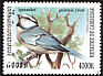 Eurasian Blue Tit Cyanistes caeruleus  1999 Birds 